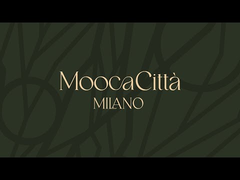 Vídeo