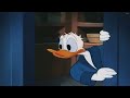 Donald Bebek Dan Tupai Lucu