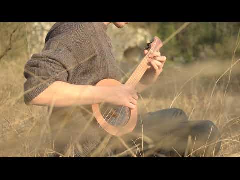Amélie Soundtrack (Comptine d'Un Autre Été) | Waiz Concert  Banjo - Ukulele | Cover