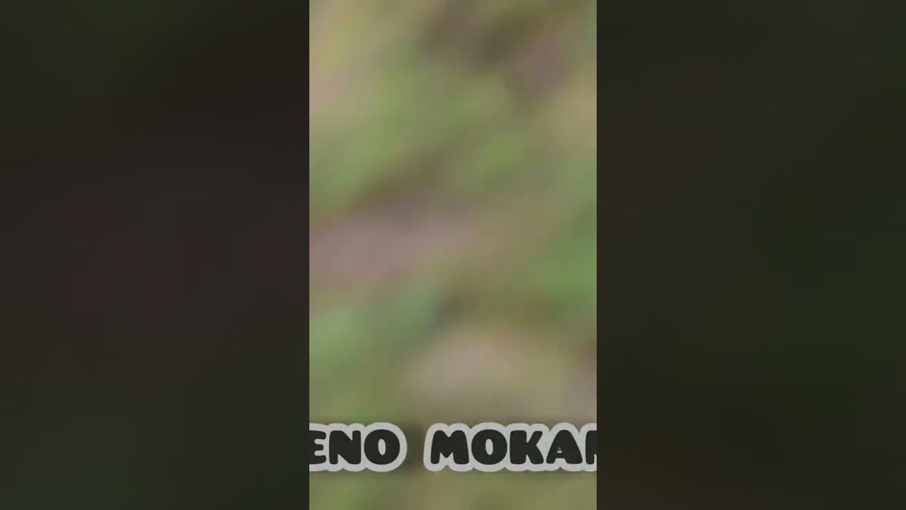 momen Rayakan Toni missa Punk Ulng Tahun