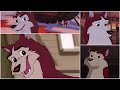 Balto III Wings Of Change The Complete Animation Of Kodi