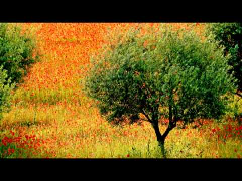 Musique pour l'Etude: Musique pour étudier, augmenter la concentration,Best Music for Studying