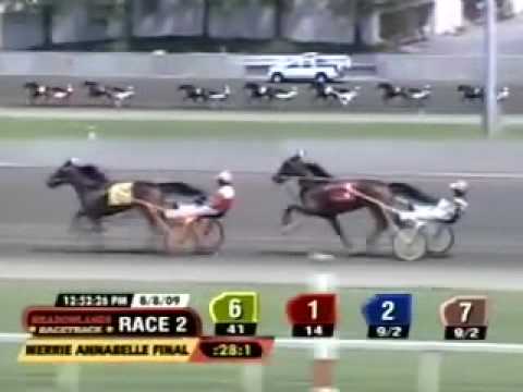 Poof She's Gone, Merrie Annabelle 2009, Meadowlands.