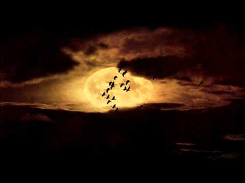 Andrez - Rush The Queue (Andro V Remix)