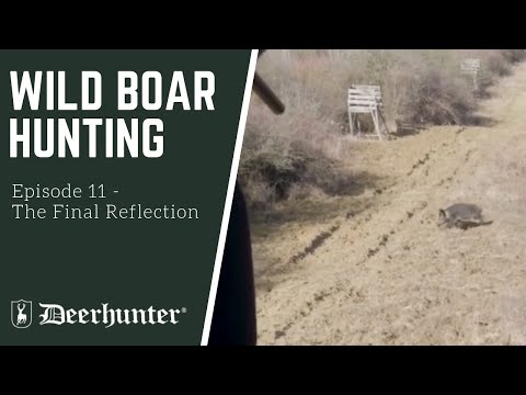 Gedanken zur Jagd