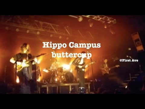 Hippo Campus- buttercup- First Ave