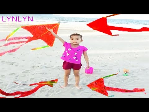 Kids Playing on the Beach | Fly Kite with LynLyn