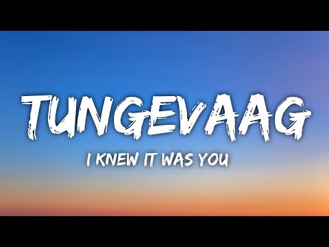 I Knew it was You Tungevaag x Lovespeake  Lyrics