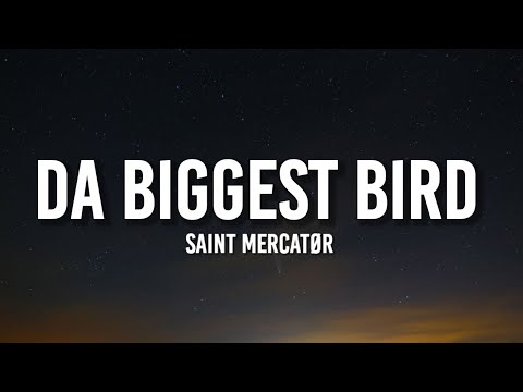 i'm the biggest bird lyrics