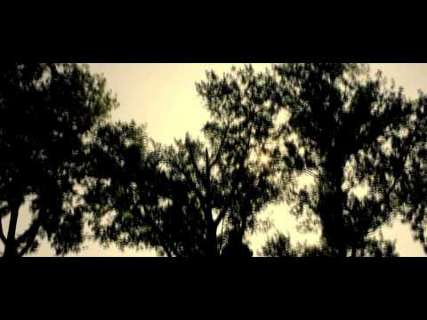 NO ORDER: Dilson - Hou het Sonnig (Official Music Video)