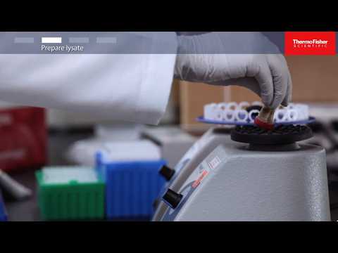 Stool DNA Extraction Guide | Microbial & Host DNA Purification