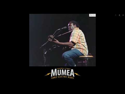 Thumbnail for Joe Willie Wilkins — Rare 1976 Performances (King Biscuit Guitarist) by Joe Willie Wilkins