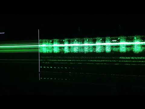 The Great Animal Orchestra by Bernie Krause, The Strand 2019