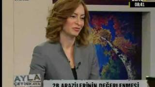 TDUB_TV_20120110.wmv