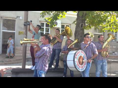 Timocki Veseljaci - Svadba Knjazevac 2015 **Winners of Guca 2015**