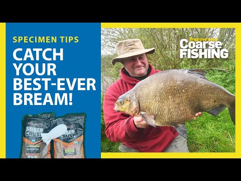 Huge bream caught for the cameras!
