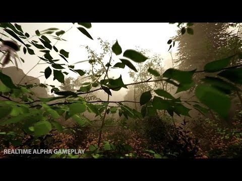 The Forest (PC) - Steam Gift - AUSTRALIA - 1