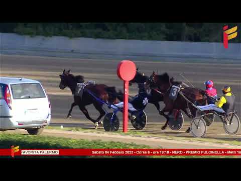 VI Corsa del 4 Febbraio 2023 - 5 Anni ed oltre - Metri 1600 - Gentlemen