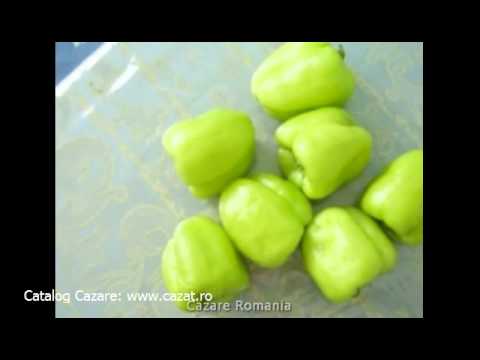 Cazare Terchesti, Vrancea - Cazat.ro