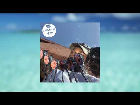 Jpegmafia The Who Feat Eyas