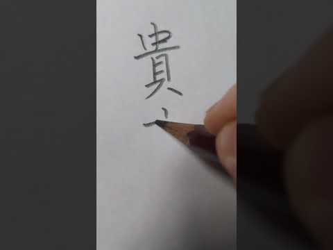 youtube-ガジェ・趣味記事2026/02/14 15:35:34