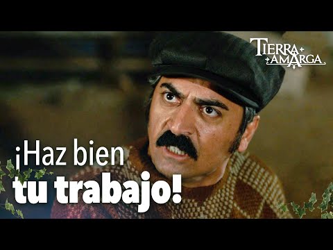 Gaffur tiene mucho trabajo - Capítulo 159
