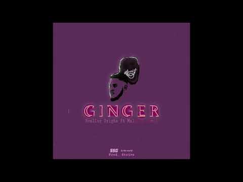 Neellzy Drighe - Ginger (Feat. Malcolm Jamal)