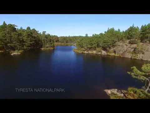 Sverige Molly Sanden Och Victor Leksell (Unofficial Music Video)