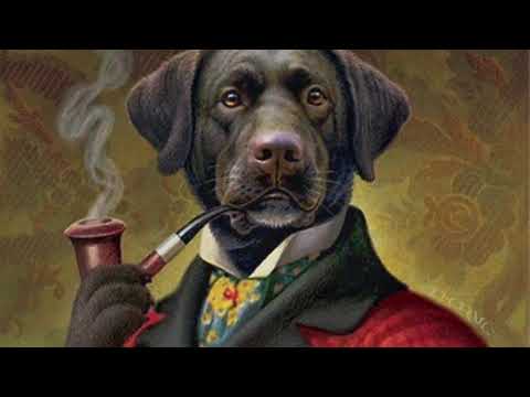 My Pipe Collection 2020