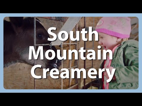 3rd Generation Family Farm is Bustling Community Hub  - South Mountain Creamery