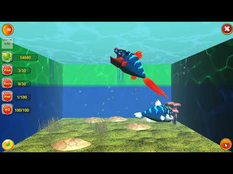 PetFish with Crystal Video