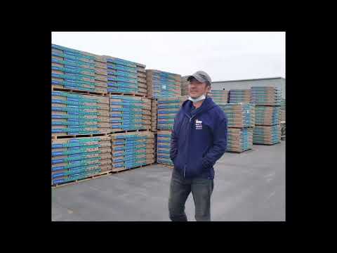 Bros.Roofing video.