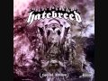 HATEBREED - Hands Of A Dying Man