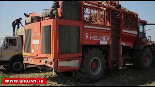 В Чечне  продолжается уборка урожая