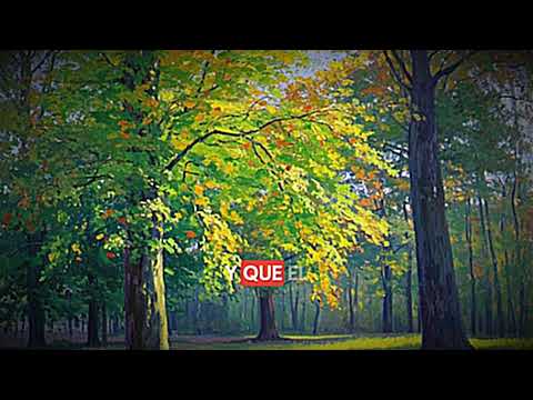 Joaqo - MI RAIZ (lirycs)