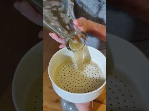 Переливание настойки желчи медведя через фильтр