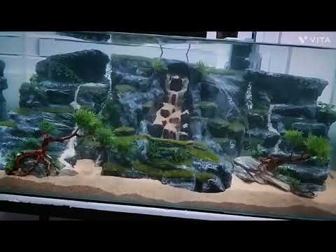 amazing aquascape sandfalls#fish #aqualife #aquarium #aquascapegallery #aquascapers#watersandfall