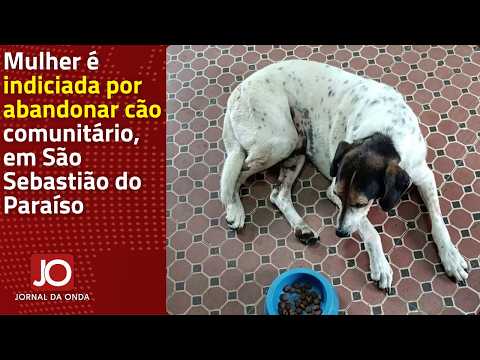 MULHER É INDICIADA POR ABANDONAR CÃO COMUNITÁRIO, EM SÃO SEBASTIÃO DO PARAÍSO
