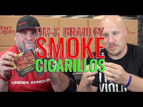 download lagu mp3 mp4 Cigarillo, download lagu Cigarillo gratis, unduh video klip Download Cigarillo Mp3 dan Mp4 320kbps Gratis