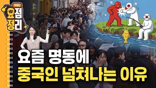 중일 싸움에 웃는 우리 [키워드요점정리]