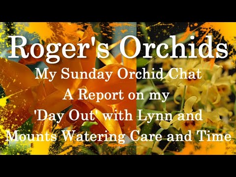 My Sunday Orchid Chat - A Report on my 'Day Out' with Lynn and Mounts, Watering, Care, and Time