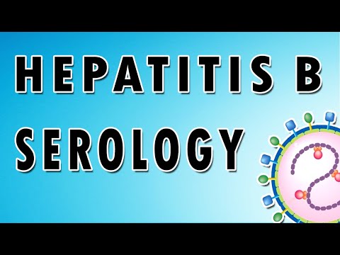 Hepatitis B Serology
