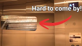 Exploring a Johns & Waygood Elevator