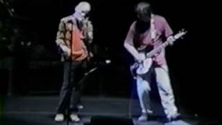 REM - Strange Currencies @ Albany, NY U.S. 1995