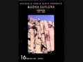 Budka Suflera - Młode lwy + tekst 