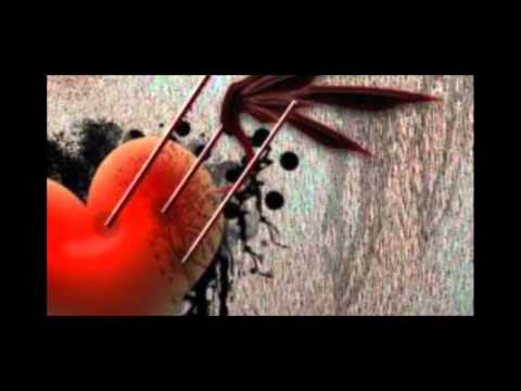 daone ft sigi   reason to stay