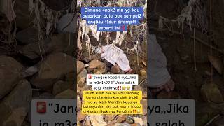 Download lagu 🔴ASTAGHFIRULLAH! Dimana 4nak2 mu yg kau besarkan dulu buk‼️ mp3 Download lagu 🔴ASTAGHFIRULLAH! Dimana 4nak2 mu yg kau besarkan dulu buk‼️ mp3