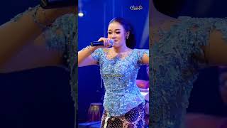 Download lagu Iseh sok kelingan - Niken Salindry ft Campursari Everywhere #story60detik #storywa #story mp3