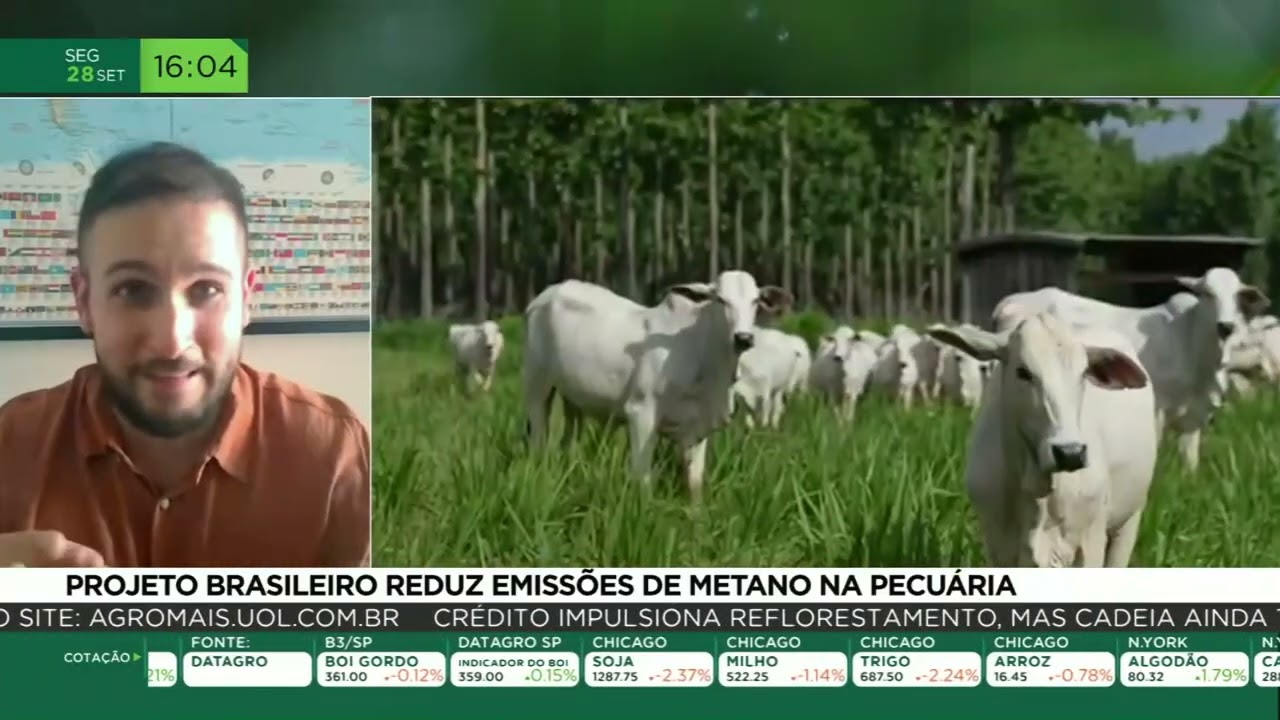 Projeto brasileiro reduz emissões de metano na pecuária