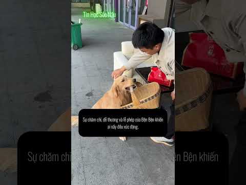 Bện Bện làm shipper và món quà cho bà nội #benben  #cho #ynghiacuocsong